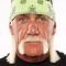 Hulk Hogan Photo