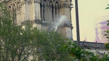 Saving Notre-Dame (2020) download