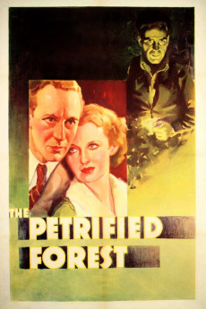The Petrified Forest (2022) download