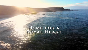 Home for a Royal Heart (2022) download