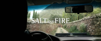 Salt and Fire (2016) download