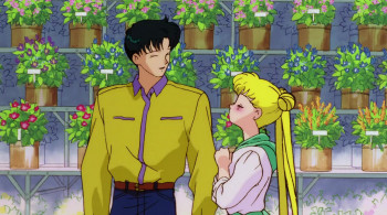 Sailor Moon R: The Movie: The Promise of the Rose (1993) download