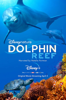Dolphin Reef (2018) download