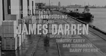 Rumble on the Docks (1956) download