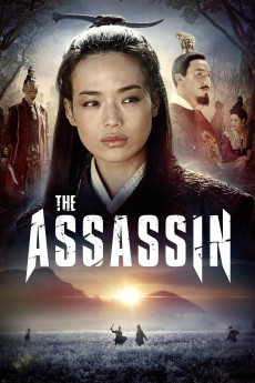 The Assassin (2015) download