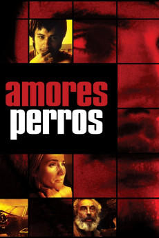 Amores perros (2000) download