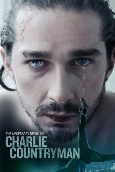 Charlie Countryman (2013) download