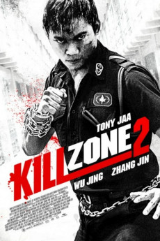 Kill Zone 2 (2015) download