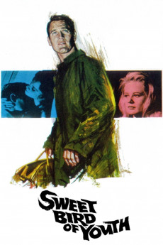 Sweet Bird of Youth (1962) download
