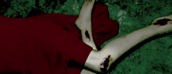 Twilight Online (2014) download