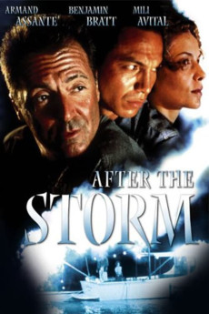 After the Storm (2022) download