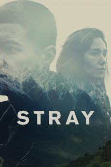 Stray (2022) download