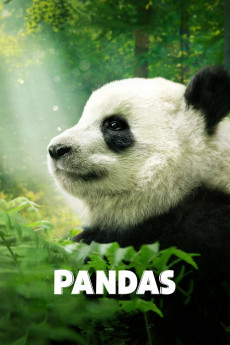 Pandas (2018) download