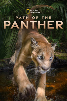 Path of the Panther (2022) download