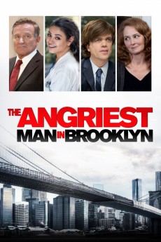 The Angriest Man in Brooklyn (2014) download