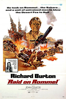 Raid on Rommel (1971) download