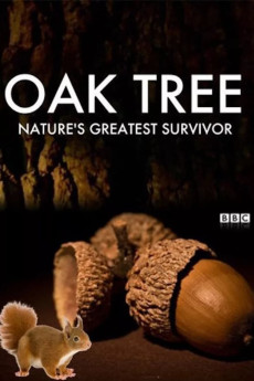 Oak Tree: Nature's Greatest Survivor (2022) download