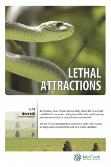 Lethal Attractions (2014) download