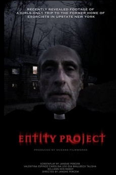 Entity Project (2022) download