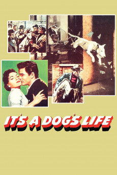 It's a Dog's Life (2022) download
