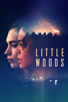 Little Woods (2022) download