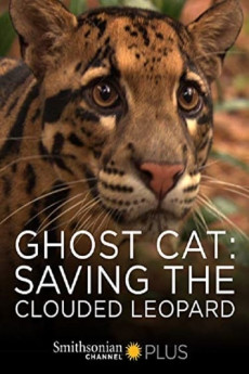 Ghost Cat: Saving the Clouded Leopard (2022) download