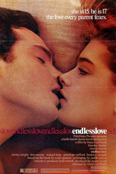 Endless Love (2022) download