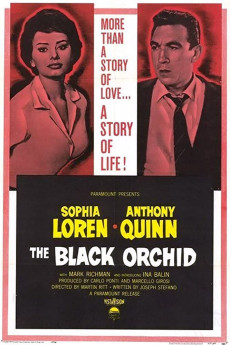 The Black Orchid (2022) download