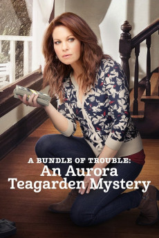 Aurora Teagarden Mysteries A Bundle of Trouble: An Aurora Teagarden Mystery (2017) download