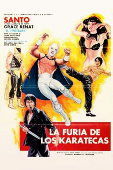 The Fury of the Karate Experts (2022) download