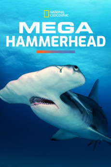 Mega Hammerhead (2022) download