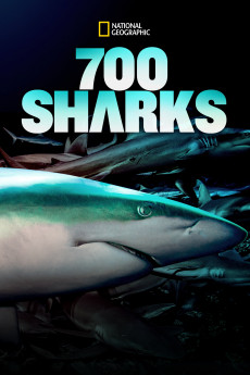 700 requins dans la nuit (2018) download