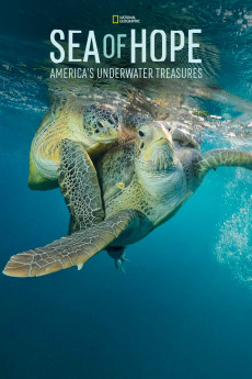 Sea of Hope: America's Underwater Treasures (2022) download