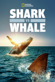 Shark vs. Whale (2020) download
