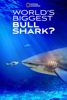 World's Biggest Bull Shark (2022) download