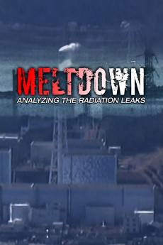 Meltdown: Analyzing the Radiation Leaks (2015) download