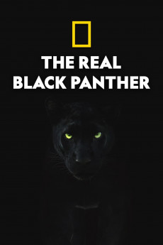 The Real Black Panther (2022) download