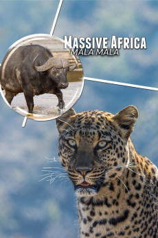 Massive Africa Mala Mala (2019) download