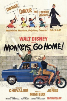 Monkeys, Go Home! (1967) download