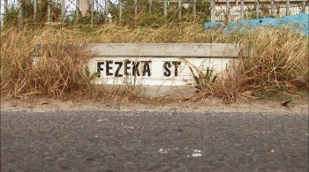 Fezeka's Voice (2009) download