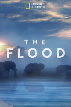 The Flood (2022) download