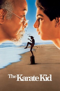 The Karate Kid (1984) download