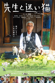 Teacher and Stray Cat (2022) download