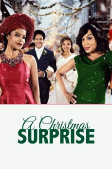 A Christmas Surprise (2022) download