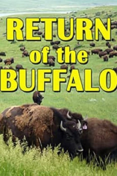 The Return of the Buffalo: Restoring the Great American Prairie (2022) download