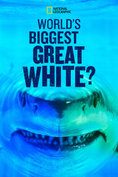 World's Biggest Great White Shark (2019) download
