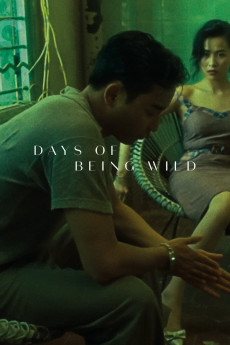 Days of Being Wild (1990) download