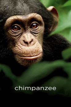 Chimpanzee (2022) download