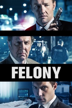 Felony (2013) download