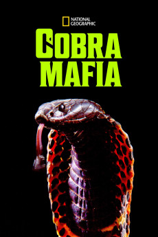 Cobra Mafia (2022) download